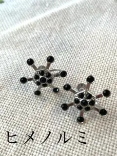 エナメル卿で購入♡ヒメノルミセレクト♡雪の結晶のようなイヤリング