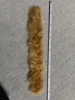 Item thumbnail for item 2d44dd5d-443d-4490-b443-fc627212179f