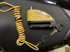 Item thumbnail for item 784585ce-c5ea-4583-88b6-3fa3876cb254