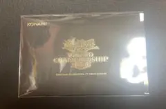 遊戯王 wcs2019 真紅眼の黒竜 死者蘇生 WCS2019 ミレニアム - メルカリ