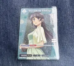 ビルディバイド 青ブタ　多忙な芸能生活　桜島　麻衣　PR＋