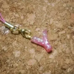 【しょうた様専用オーダー確認用ページ★+.】