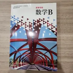 数学B 数研出版
