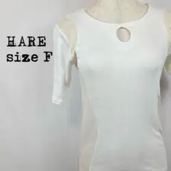 Item thumbnail for item 8f89e48c-3938-470f-9e1f-a47a5cdbc8d2