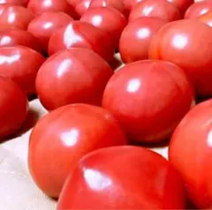 桃太郎トマト 大玉 中玉 3kg 規格外 規格外野菜 新鮮 野菜 トマト