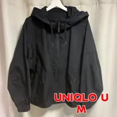 Item thumbnail for item 19aa351c-cadc-40d8-917d-3e66b320e930