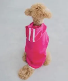 犬服 しまむら Ｌサイズ