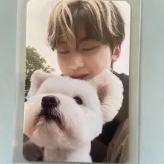 ZB1 トレカ　digipack 封入 犬 レオ デジパック　マシュー　メテュ