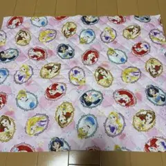 はぎれ　キルティング　ディズニープリンセス