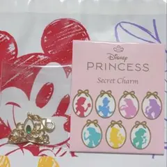ディズニープリンセス シークレットチャーム ティアラ ジャスミン