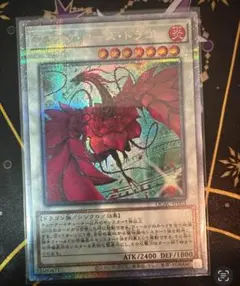 ブラックローズドラゴン 遊戯王OCG デュエルモンスターズ