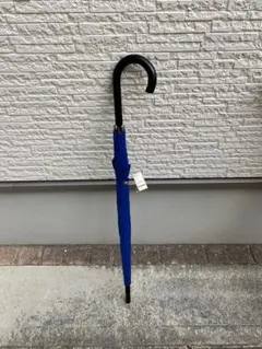 Item thumbnail for item 29d295d1-4619-443d-a350-f39f3d7ec373