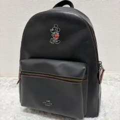 【極美品】コーチ×ディズニーコラボ　本革　リュック　バックパック　ミッキー
