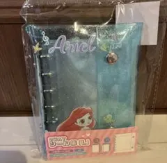 Item thumbnail for item 4cb61cc1-6e8b-4d4f-99a4-9e9f7b2d0887