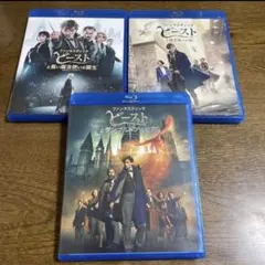 ファンタスティック・ビースト❤️の三作品セットです。