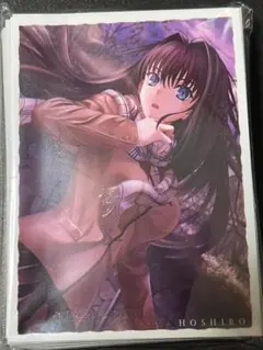 魔法使いの夜 蒼崎青子　SILVER BLITZ　スリーブ　A 2026年最新】蒼崎青子 スリーブの人気アイテム - メルカリ