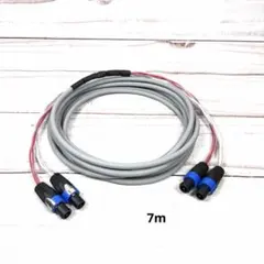 Item thumbnail for item 05a64098-c791-4bbb-a84c-b18699ba6b4f