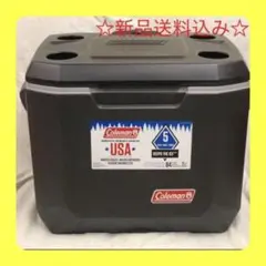 Coleman EXCURSION クーラーボックス ビールサーバー改造品 - メルカリ