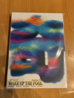 KEY TO LIT WAKE UP THE FOOL 受注生産盤 DVD - メルカリ