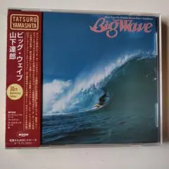 山下達郎/ビッグ・ウェイブ 30th Anniversary Edition
