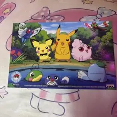 ポケモンカードゲーム サプライ 海外限定 サケブシッポ ラバープレイ