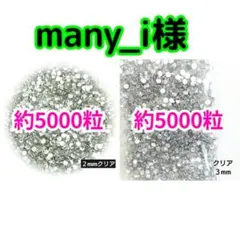 many_i様 ─専用─