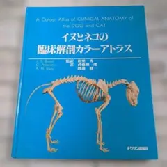 Item thumbnail for item d54de6ca-d74d-41a0-8506-8d4720e4431c