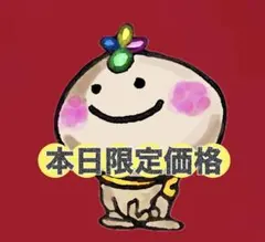 ★本日限定特別価格★