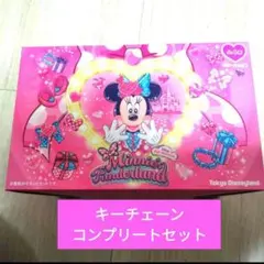 キーチェーン　コンプリートセット ミニー　シークレット ディズニーパルパルーザ