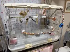 2026年最新】VISION 鳥かご・パーツ類の人気アイテム - メルカリ