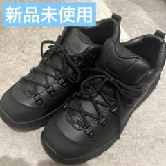 新品未使用THE NORTH FACE トレッキングシューズ　25センチ 2026年最新】ノースフェイス トレッキングシューズ 25の人気アイテム