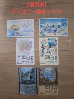 【使用済み】東京ディズニーリゾート 株主パスポートとリゾラ１日乗車券