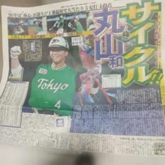 カレンダーカード 2017.4-2018.3 髙地優吾 ⇔ 平野紫耀 2枚セット 