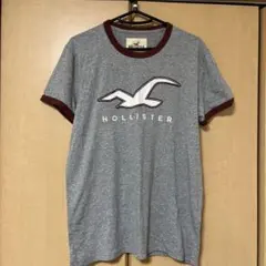 ホリスター　半袖Tシャツ　メンズSサイズ（US）