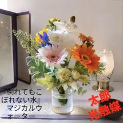 光触媒　観葉植物　ウォールグリーン　フェイクグリーン　マジカルウォーター2523のサムネイル