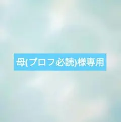 2026年最新】プロフ必読の人気アイテム - メルカリ