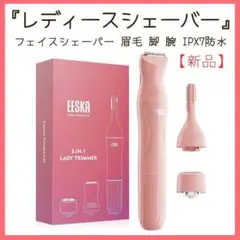 Item thumbnail for item 499d91ea-776b-4a84-94ea-7ad83849ff9a