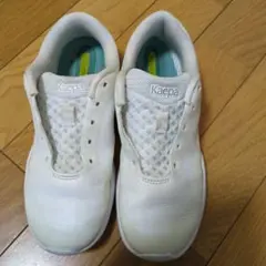 Item thumbnail for item 319280c9-fdaa-4223-bc29-a90ce7f53899