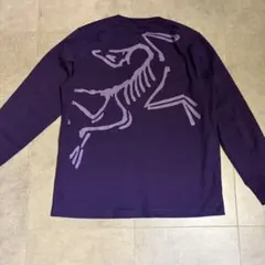 アークテリクス　ロンTのサムネイル