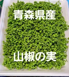 2026年最新】山椒の葉、の人気アイテム - メルカリ