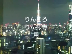 りんころりん様 リクエスト 2点 まとめ商品