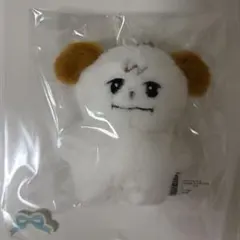 2026年最新】キュヒョ ぬいぐるみの人気アイテム - メルカリ
