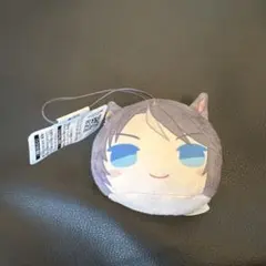 フジキセキ　ぬいぐるみ 2026年最新】フジキセキ ぬいぐるみの人気アイテム - メルカリ