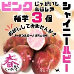 2026年最新】インカのめざめ種芋の人気アイテム - メルカリ