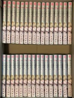ふぁんとむ♥らんど トレカ 美雨 4種類 17枚 まとめ売り - メルカリ