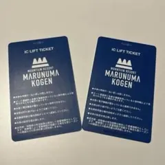 2026年最新】丸沼高原スキー場1日リフト券の人気アイテム - メルカリ