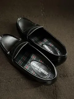 Item thumbnail for item 23c7ec57-c975-47f7-af6f-eaaae748931e