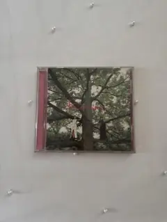 結婚式BGM CD 25枚 まとめ売り 2747-1739-