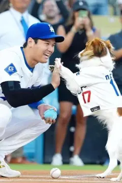 デコピン　ペット　犬　メジャーリーグ日本人選手 メタルサイン　インテリア雑貨