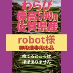 ②robot様御用達専用出品標高500m佐賀県産ネコポス 朝採り当日発送ワラビ